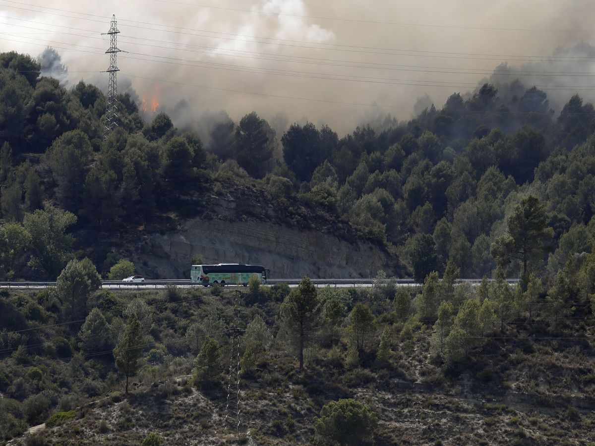 Foto: Incendio forestal en el monte (EFE/Andreu Dalmau)