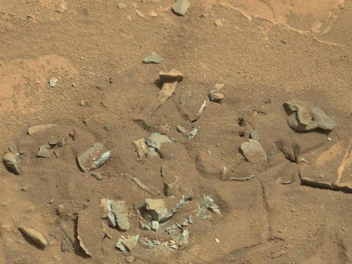 Foto: ¿Huesos en Marte? Fuente: Twitter.