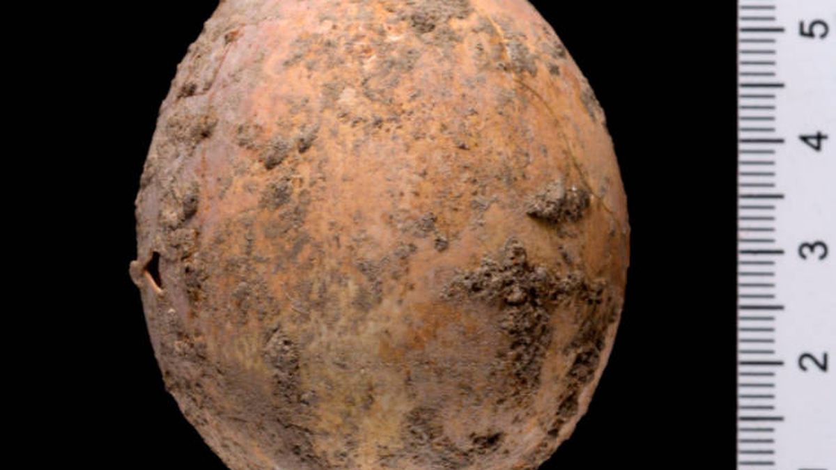 Encuentran un huevo de gallina de 1.000 años de antigüedad casi intacto
