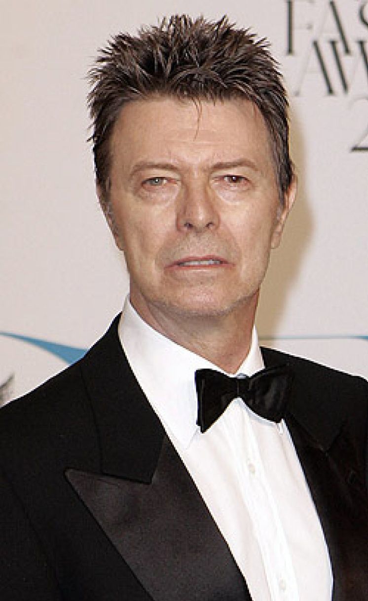 Foto: ¿Se ha retirado David Bowie? El músico no saca disco desde 2003