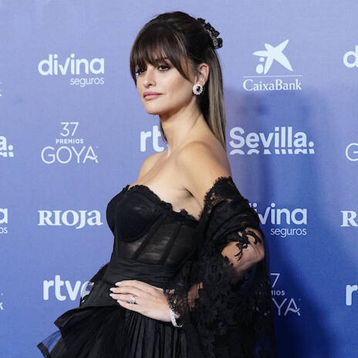 Todos los looks y los mejores vestidos de la alfombra roja de los Premios  Goya