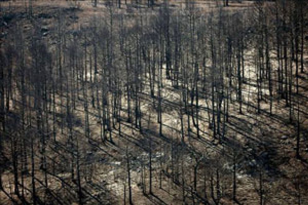 Foto: El fuego ha arrasado ya más 12.000 hectáreas en Aragón, sobre todo en Teruel