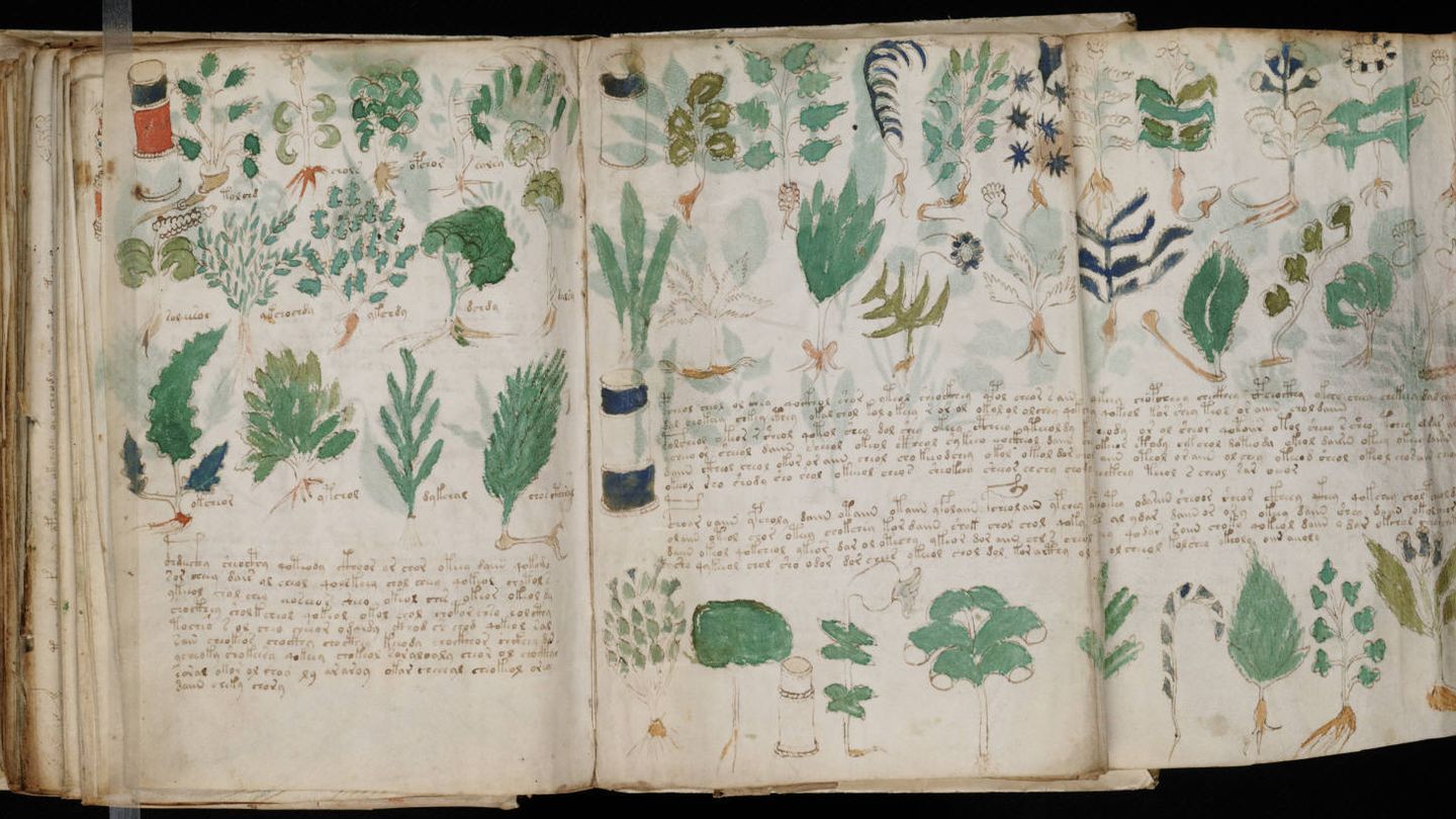 Páginas de la sección de 'farmacología' del manuscrito Voynich.