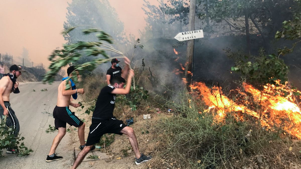 Argelia lidera el trágico balance de los incendios en el Mediterráneo con 65 muertos