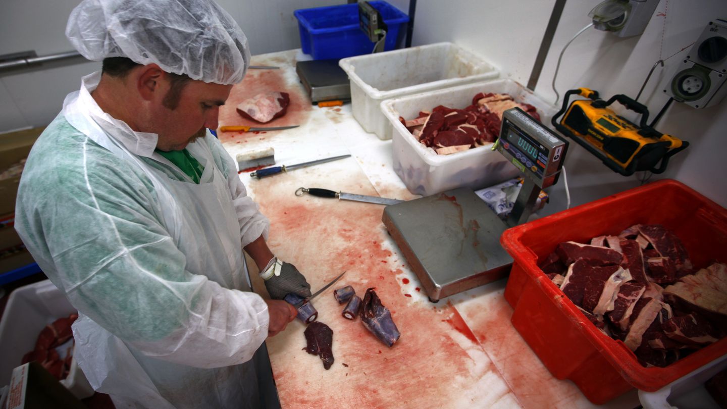 Un carnicero australiano despieza un canguro. (Reuters/David Gray)