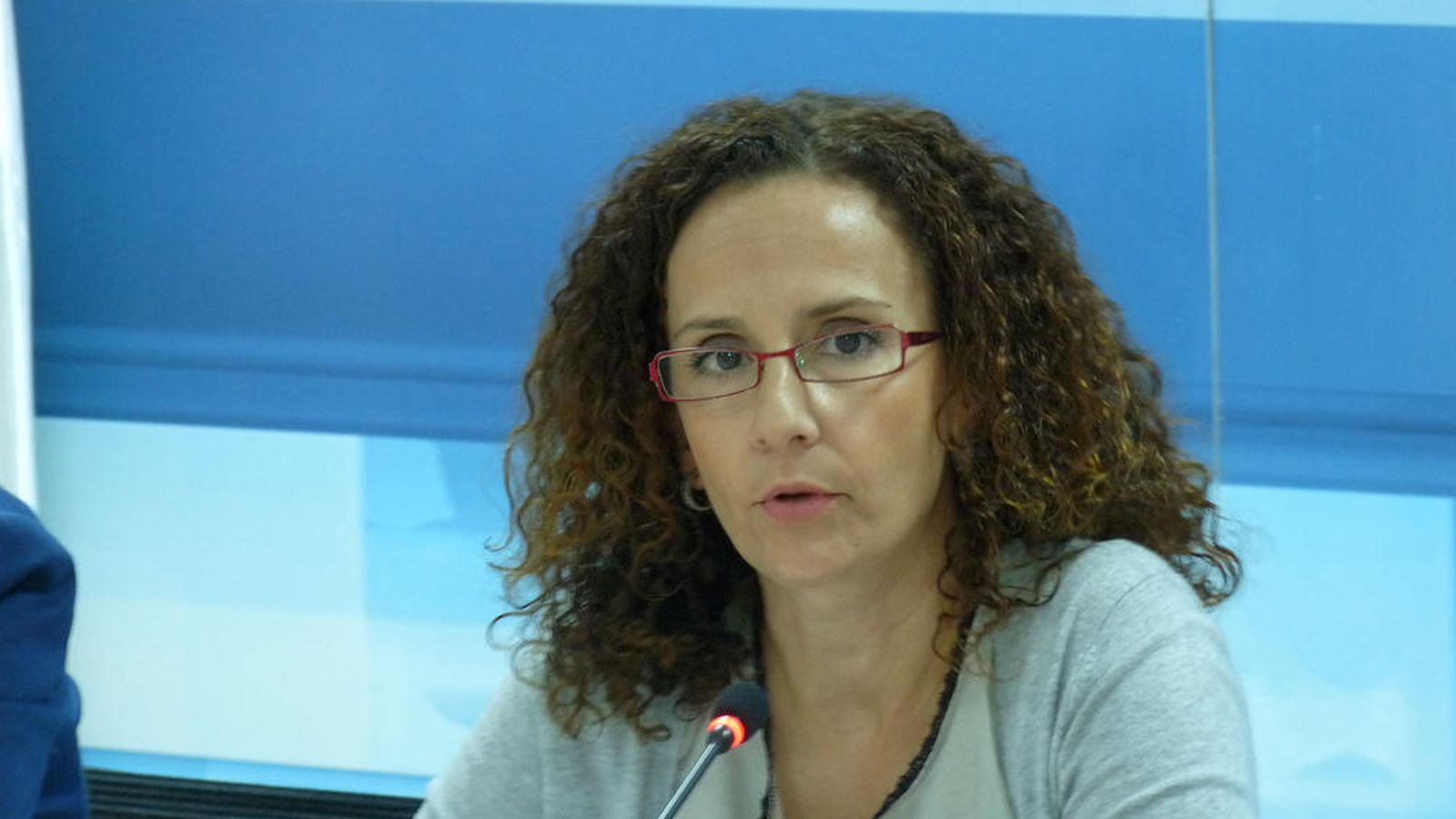 Foto: Pilar Lucio, secretaria general de cambio climático y desarrollo sostenible del PSOE