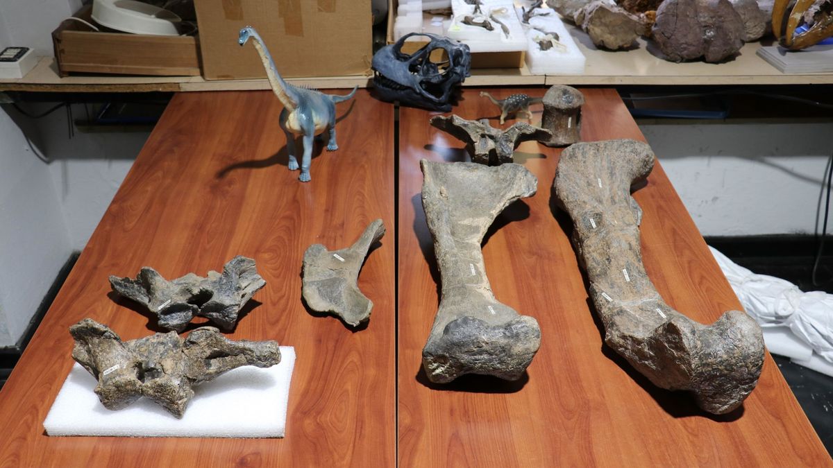 Arackar licanantay, el dinosaurio más grande descubierto en Chile 