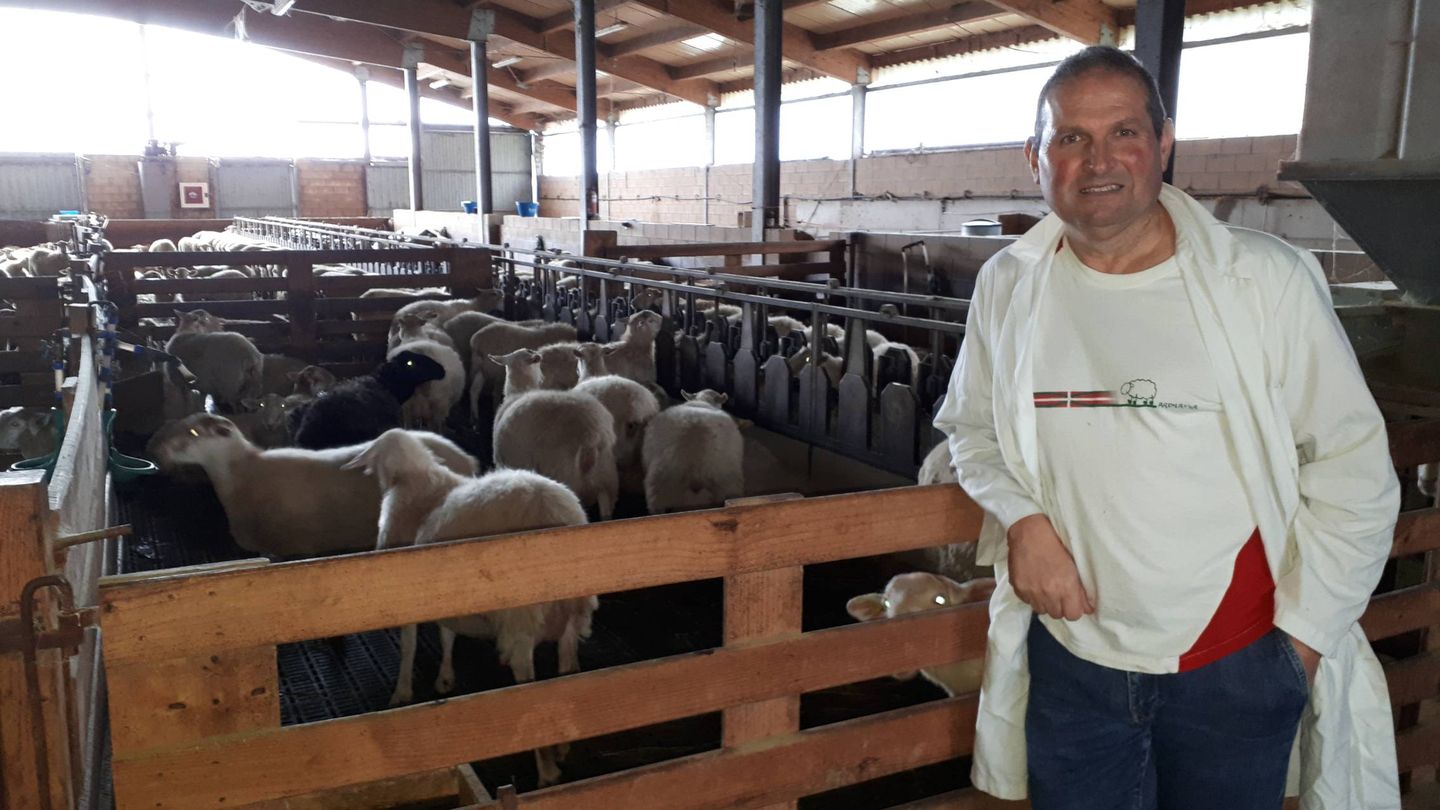 El coordinador de la Escuela de Pastores del País Vasco, Batis Otaegi, posa ante unas ovejas de la explotación. (J. M. A.)