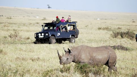 El Banco Mundial se vuelca con el rinoceronte negro con un bono de 150 M que premia su conservación