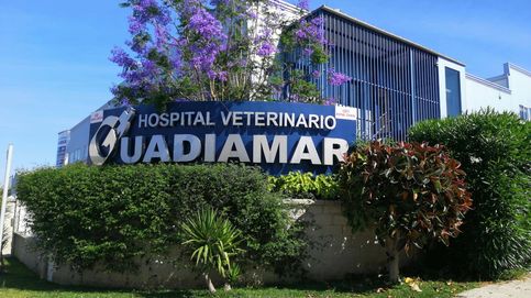 Meridia (Javier Faus) vende los hospitales veterinarios Vetsum a AniCura Group