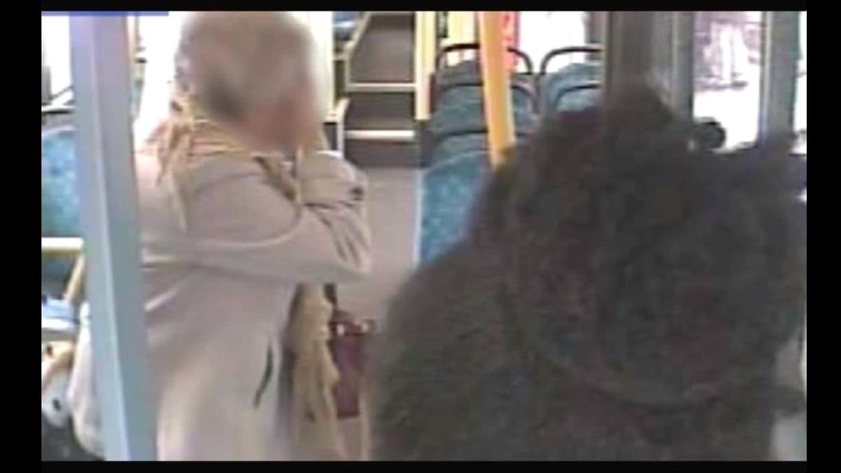 Pegan un puñetazo a una anciana de 87 años después de intentar colarse en el autobús
