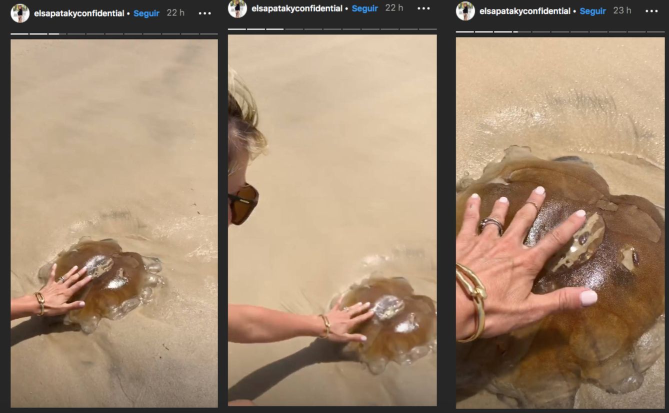 Pataky y la medusa. (Instagram)