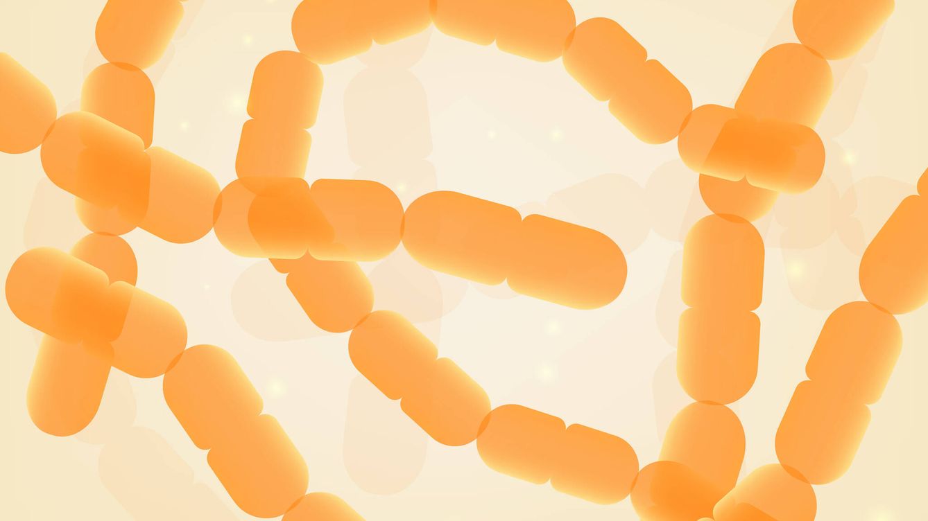 Falsos mitos de la microbiota: los científicos alertan sobre las mentiras más frecuentes