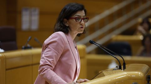 El PSOE ordenó a sus senadores actualizar sus bienes en la ofensiva contra la alcaldesa de Marbella
