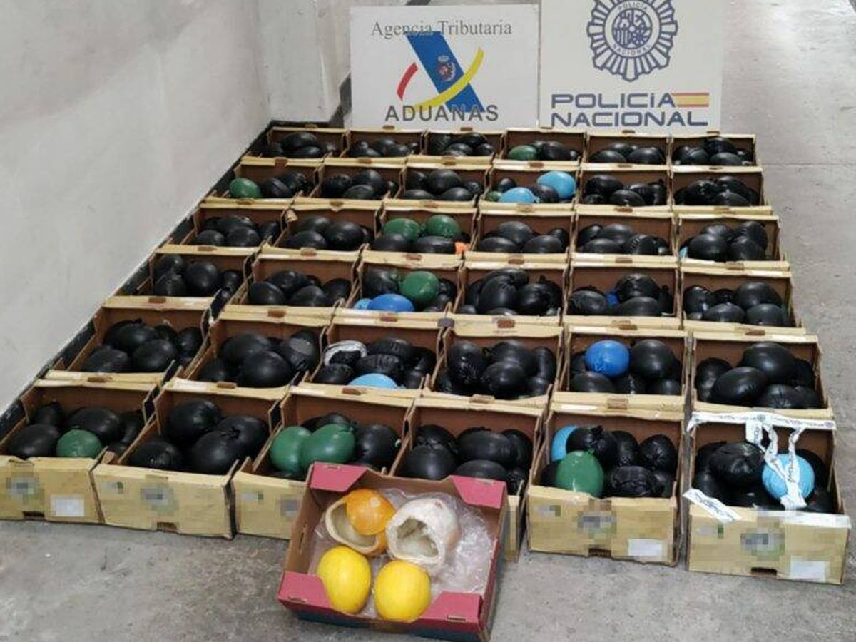 Foto: Bolsas de cocaína camuflada en melones sin pulpa que llegaron al puerto de Vigo. (Cedida: Policía)