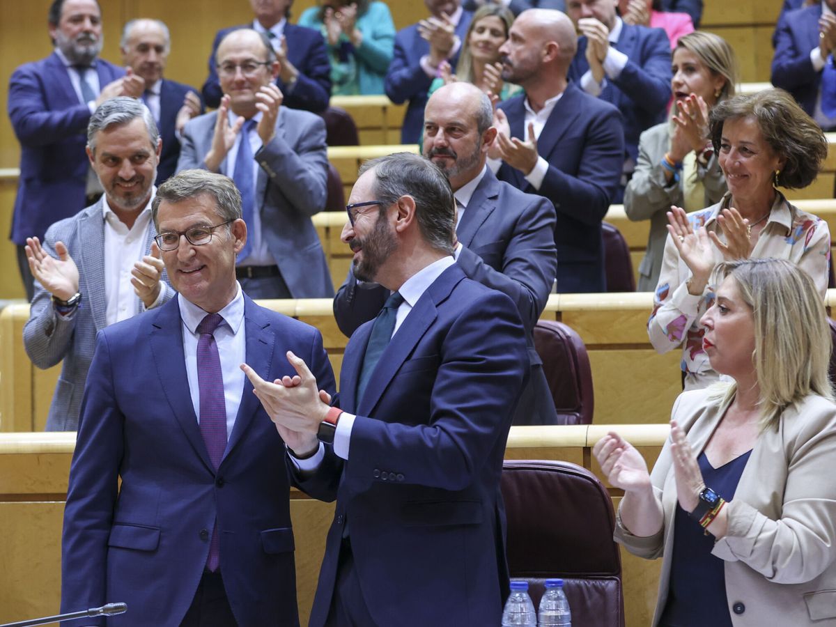 Foto: El líder del PP, Alberto Núñez Feijóo, durante el debate de este martes en el Senado. (EFE/Kiko Huesca)