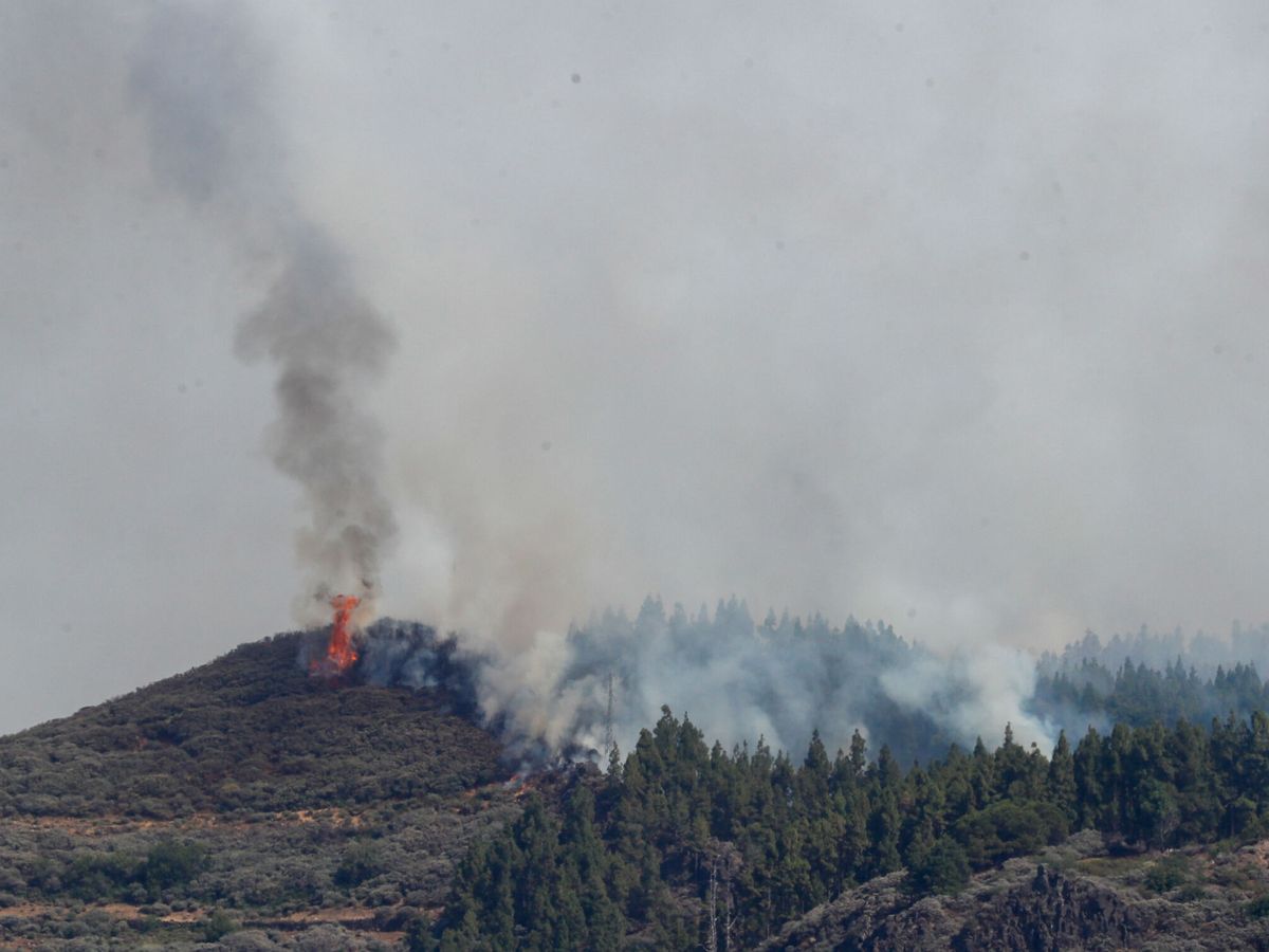 Foto: Foto del incendio de Gran Canaria. (EFE/Elvira Urquijo A.)