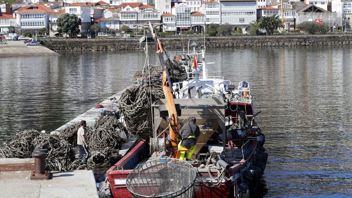 La posibilidad de un Brexit duro angustia a la pesca gallega
