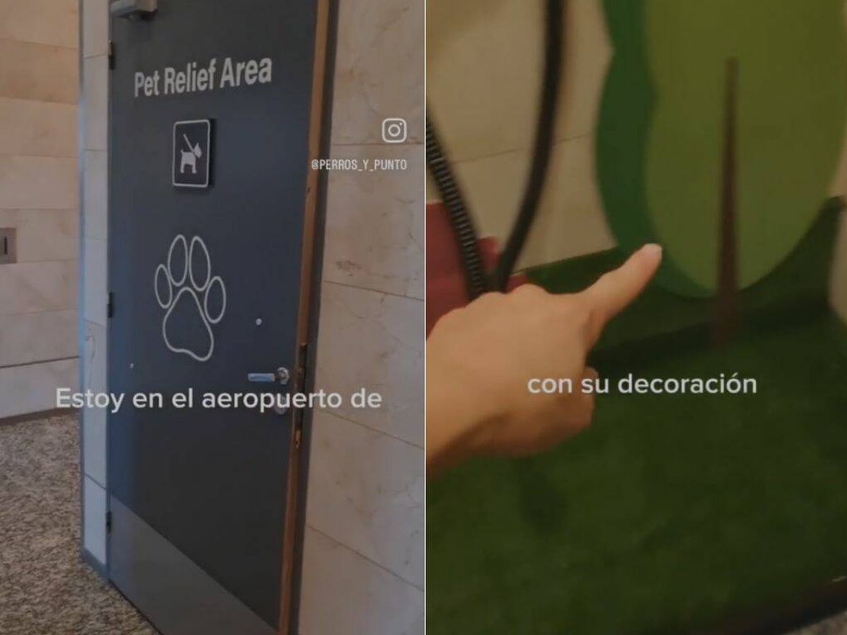 Foto: Una española descubre este atípico cuarto de baño para perros en el aeropuerto de Buenos Aires (Instagram/@perros_y_punto)
