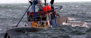 Pescanova hace agua sin el apoyo de las cajas gallegas