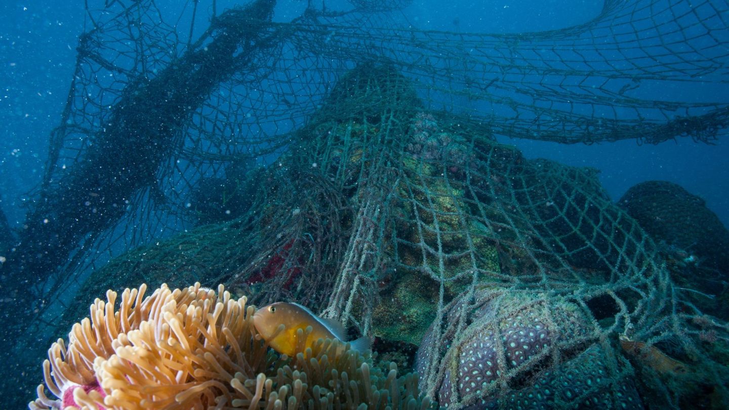 Redes de pesca fantasma en el fondo marino. (EFE)