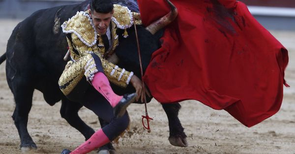 Foto: El diestro extremeño Alejandro Talavante sufre una cornada por su segundo. (EFE)