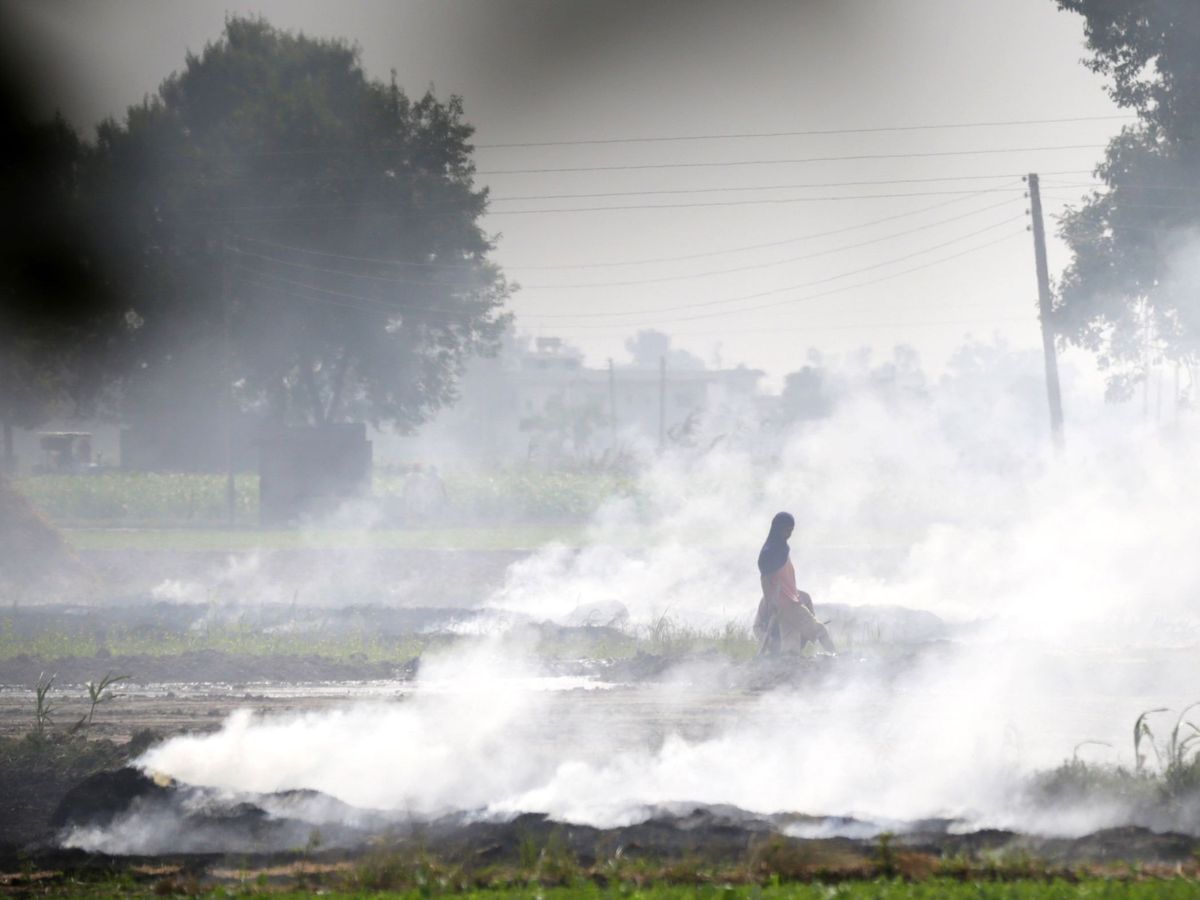 Foto: La quema de rastrojos y restos agrícolas es muy común en el mes de octubre (EFE/Raminder Pal Singh)