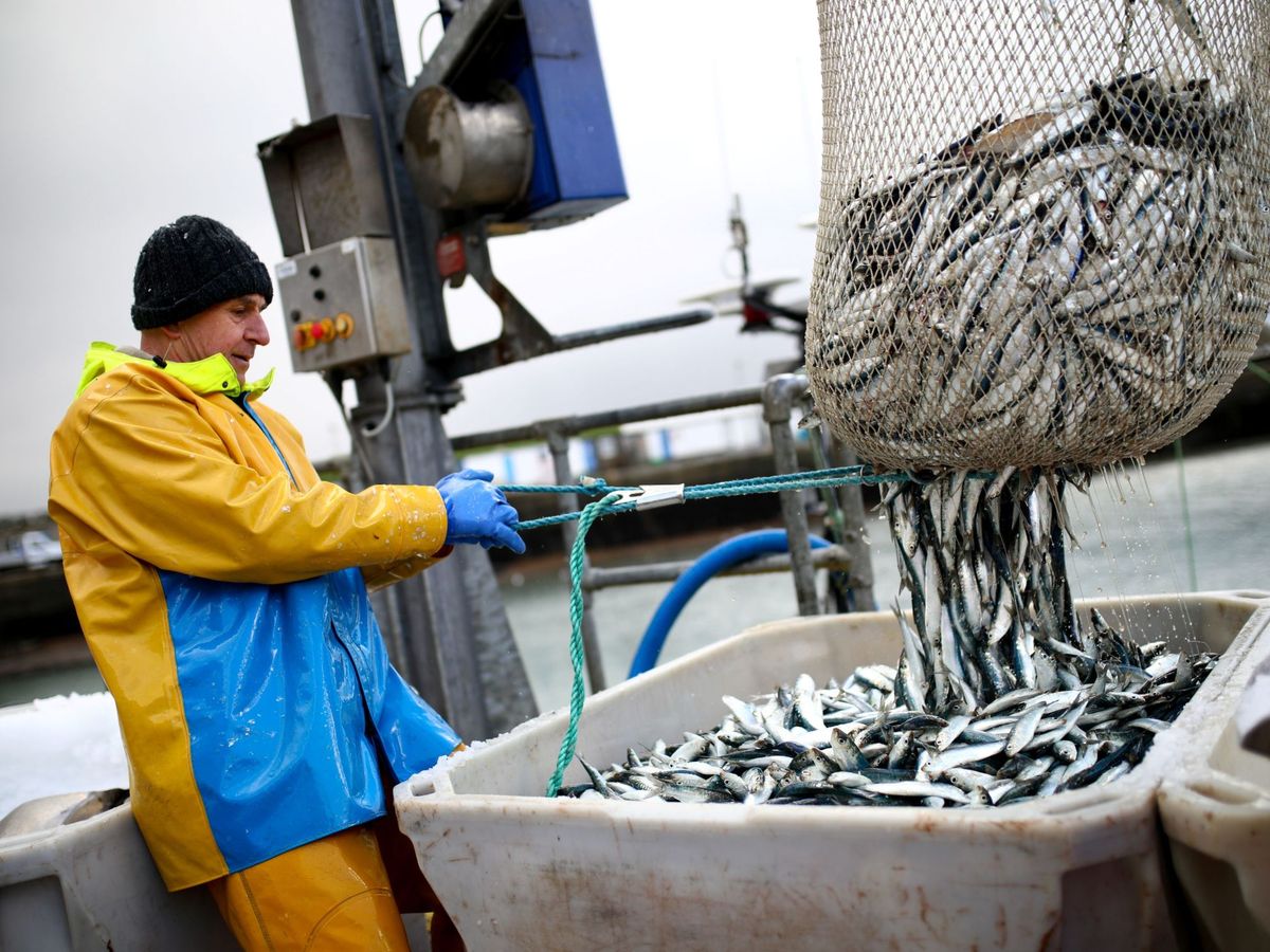 Foto: La UE reduce la pesca de arrastre en zonas protegidas. (Reuters/Tom Nicholson)
