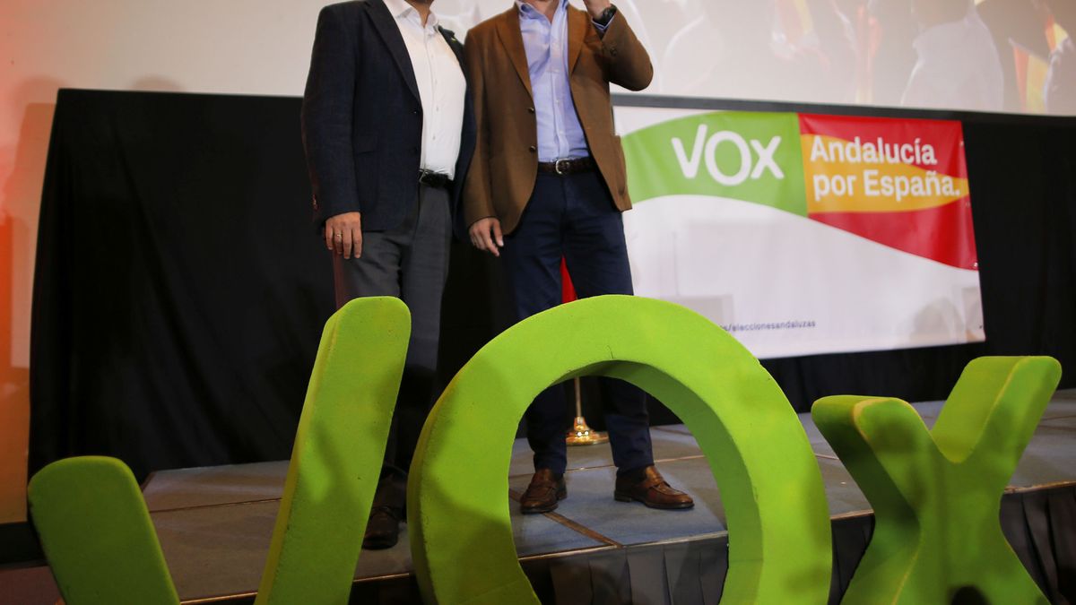 Vox amonestó a Serrano en mayo por los dudosos negocios de su bufete de abogados