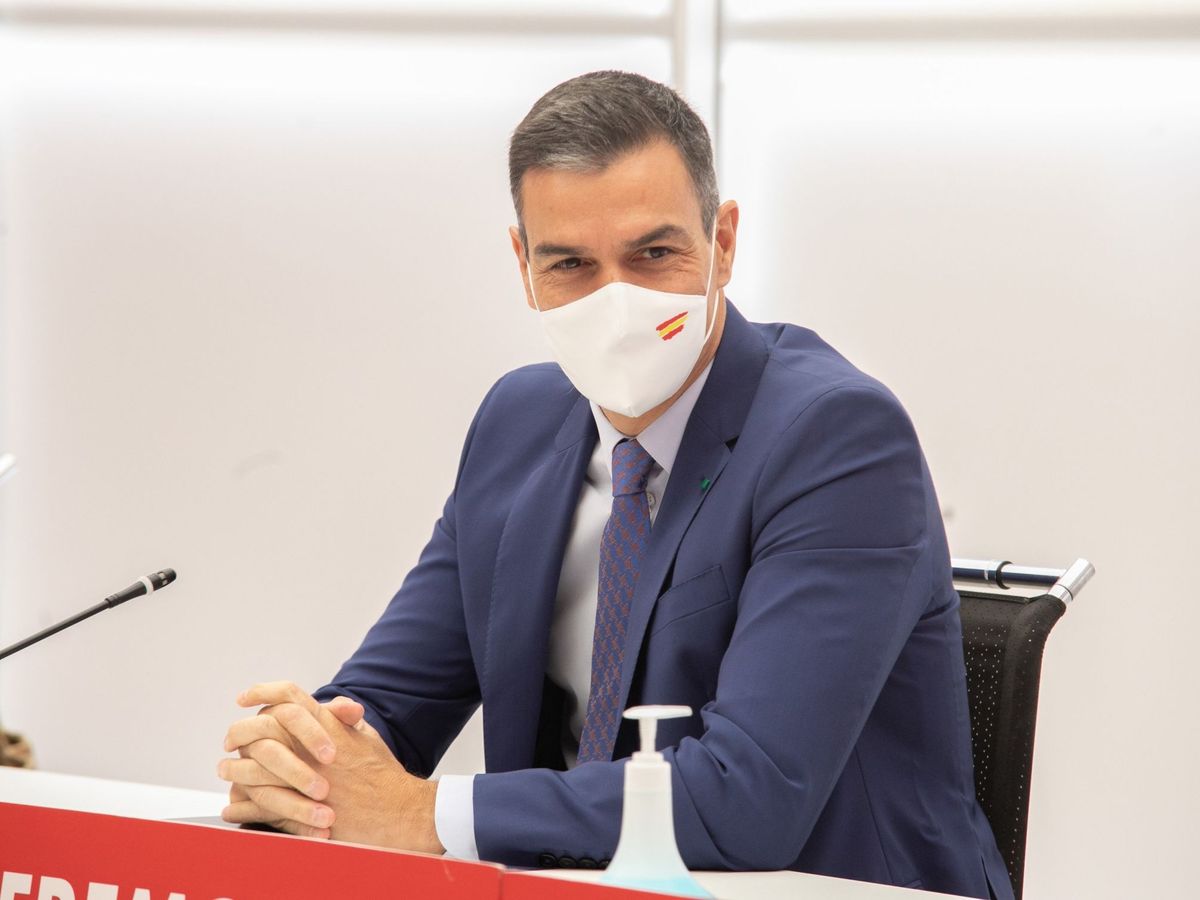 Foto: Pedro Sánchez, en una reunión de la ejecutiva federal del PSOE. (EFE)