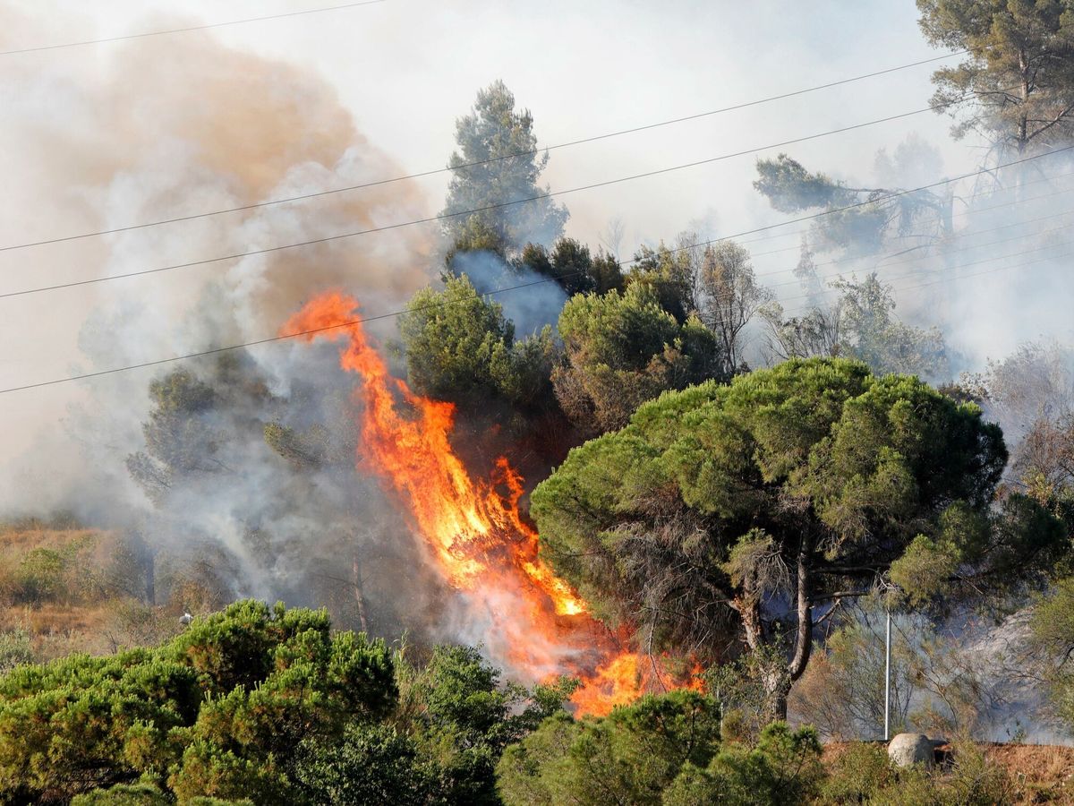 Foto: Incendio en Castellvi de Rosanes. (EFE)