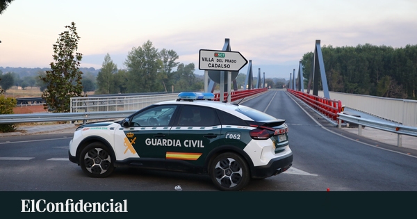 Investigado un conductor tras atropellar mortalmente a un perro que cruzaba con su dueño un paso de peatones en Lardero