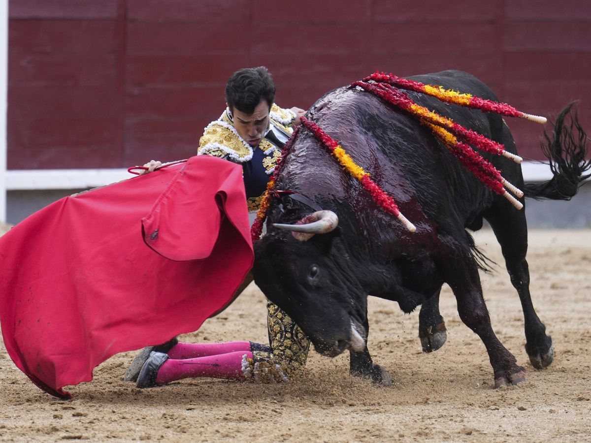 Foto: El diestro Tomás Rufo lidia su primer toro. (EFE/Borja Sánchez-Trillo)