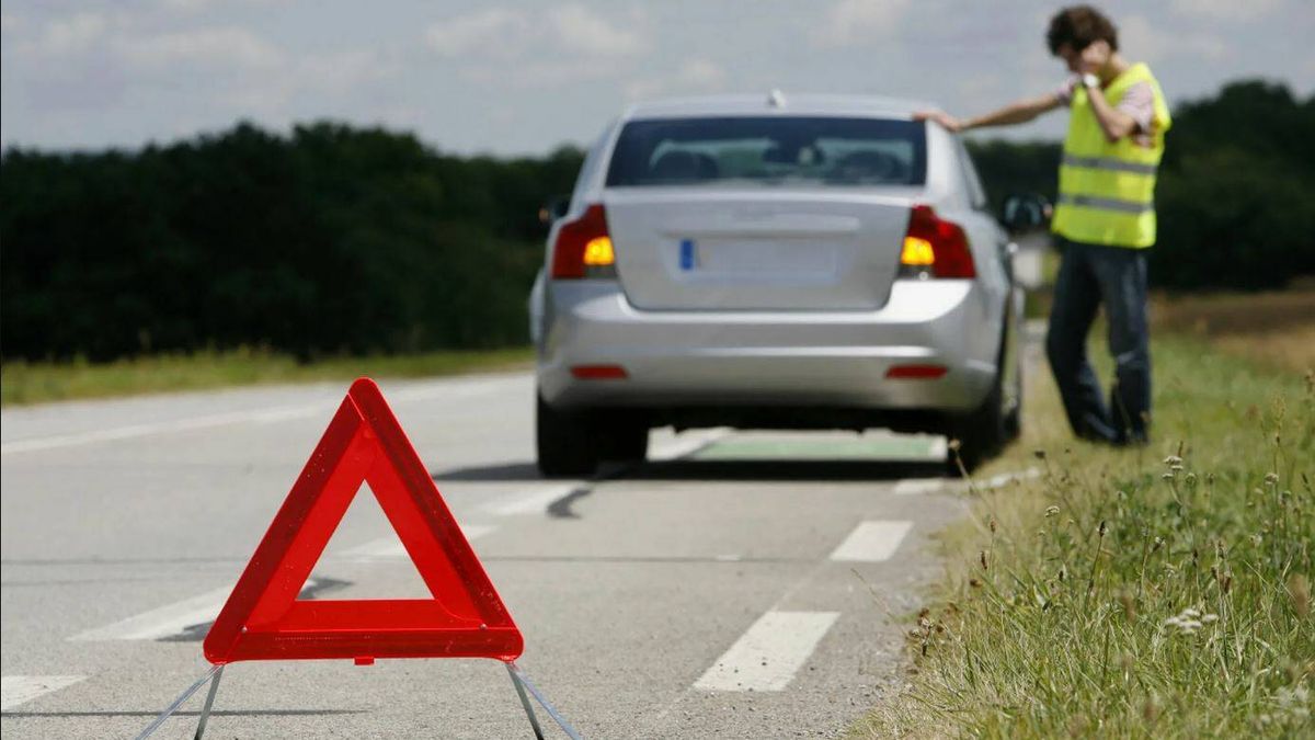 Los atropellos en las carreteras españolas crecen un 11% en 2022, y la DGT da las claves