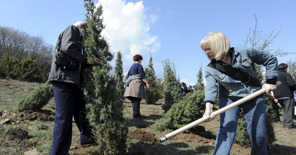 Foto: Con esta medida se esperan plantar más de 175 millones de árboles cada año (EFE/Georgi Licovski)