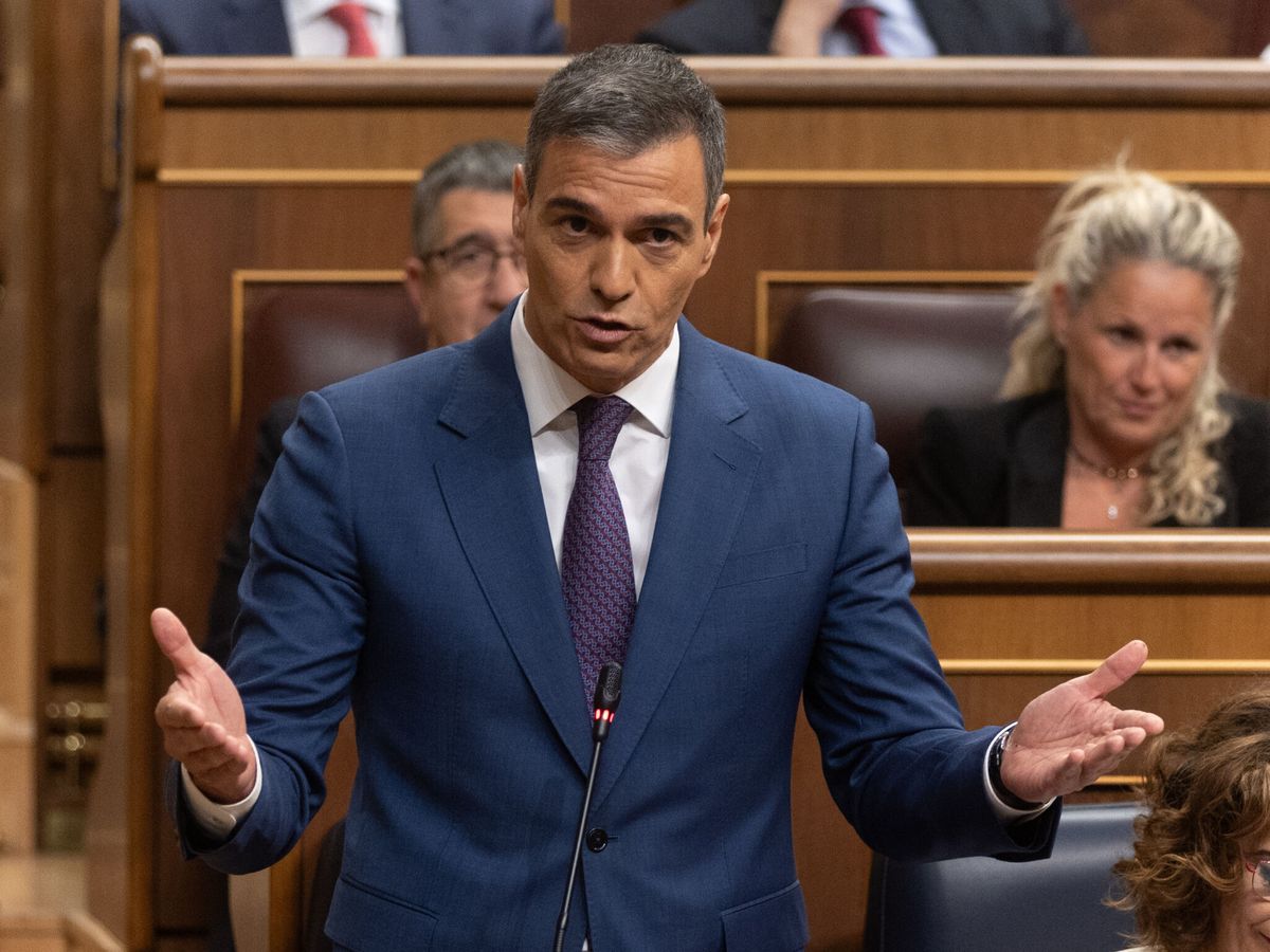 Foto: El presidente del Gobierno, Pedro Sánchez, en la sesión de control del Congreso. (Europa Press/Eduardo Parra)