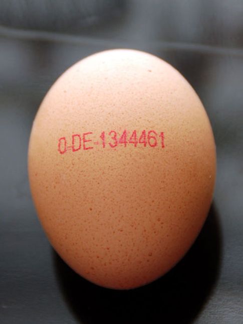 Huevo con etiqueta ecológica. 