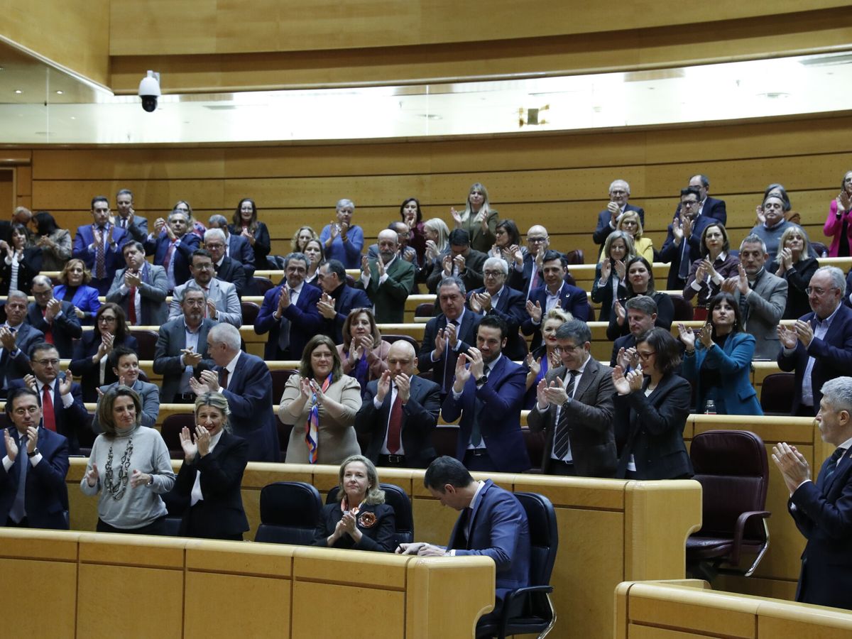 Foto: Pleno del Senado. (EFE/Zipi)