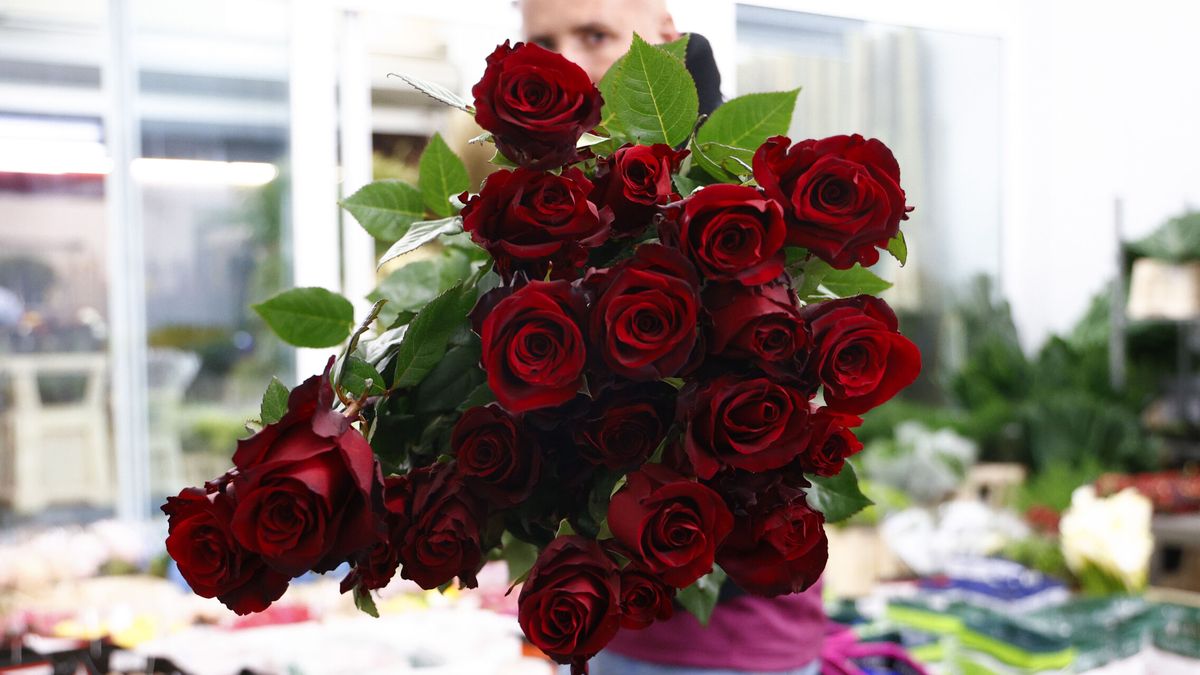 ¡Feliz Sant Jordi! 20 frases para felicitar el día de la rosa y el libro por WhatsApp