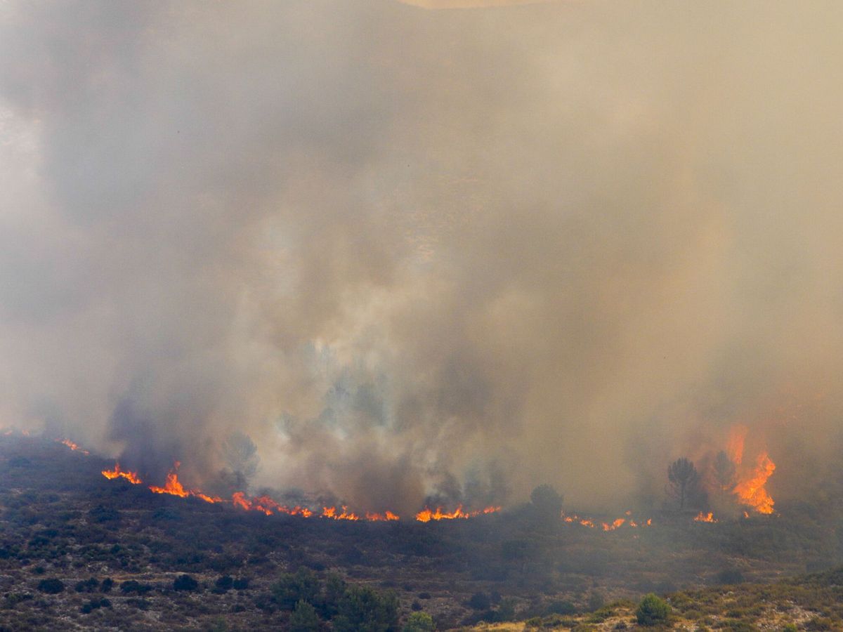 Foto: El fuego avanza en la localidad de Castell de Castells, Alicante. (EFE/Natxo Frances)