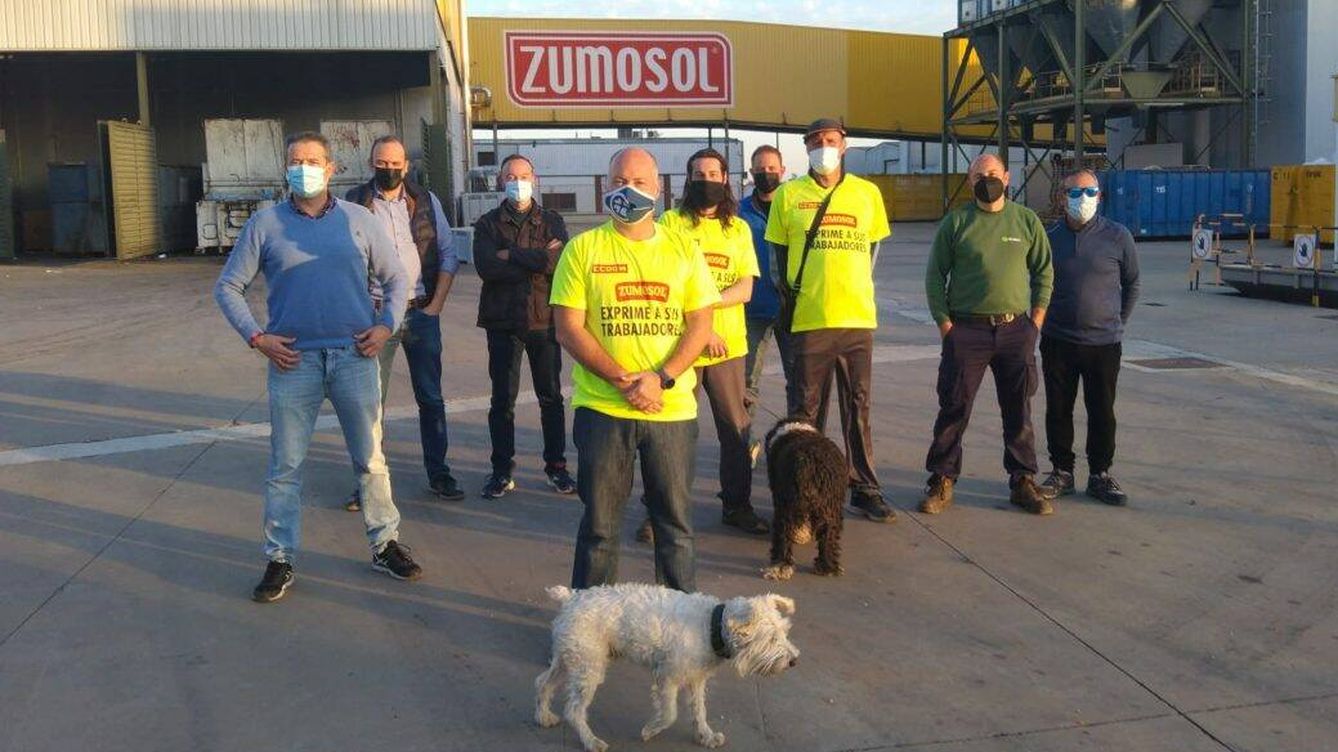 Foto: Los trabajadores de Zumosol hace meses que no cobran. (Cedida)