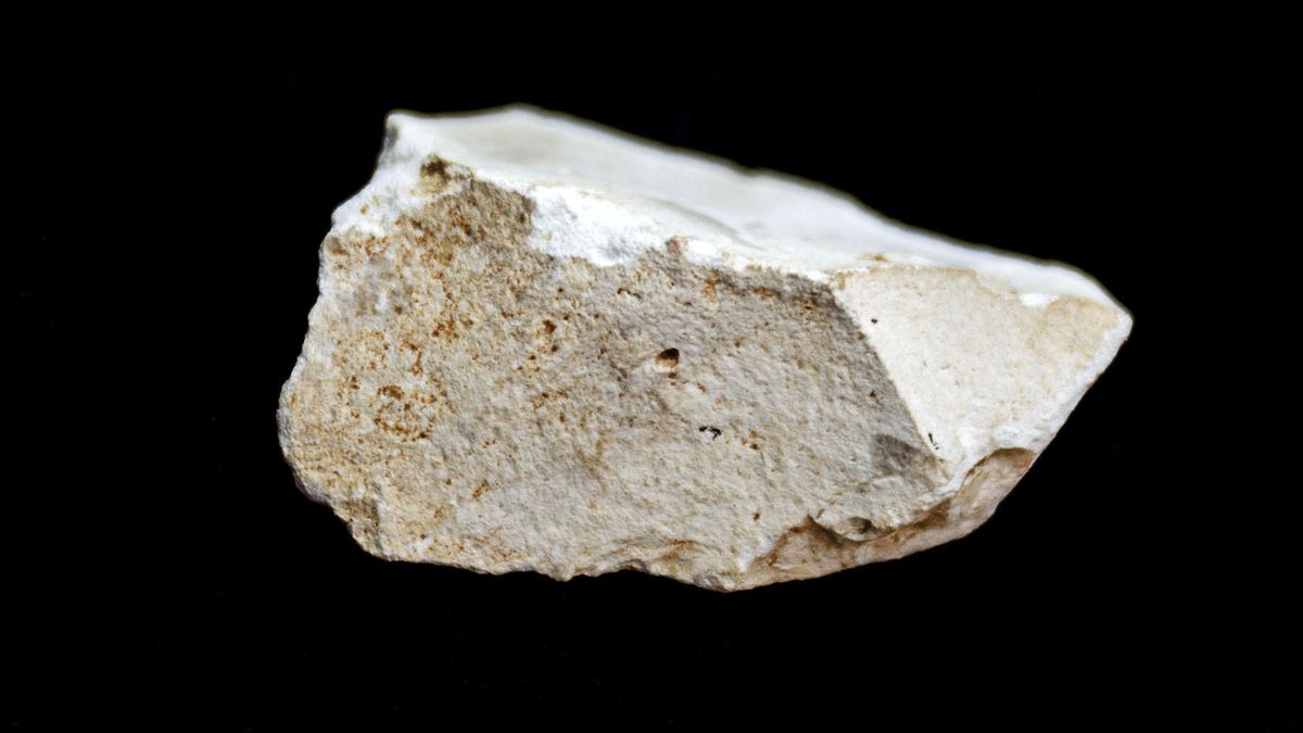 Un hallazgo en Atapuerca sugiere que Europa lleva poblada 1,4 millones de años