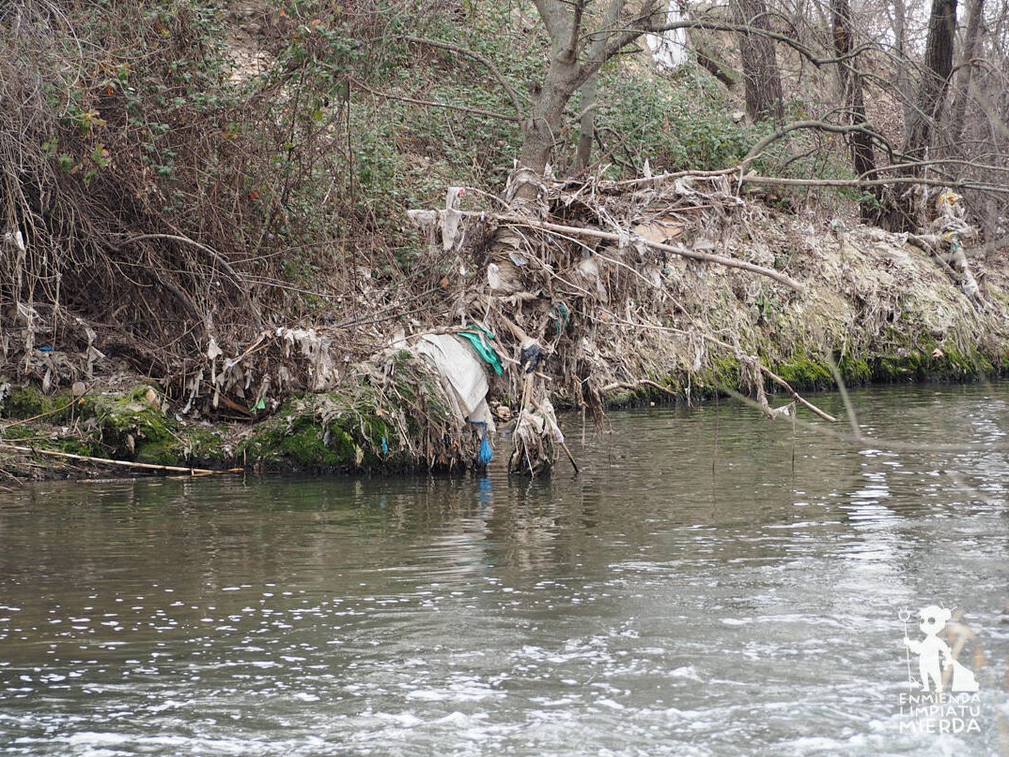 La iniciativa 'Enmienda, limpia tu mierda' se encarga de recoger la suciedad de los ríos. 