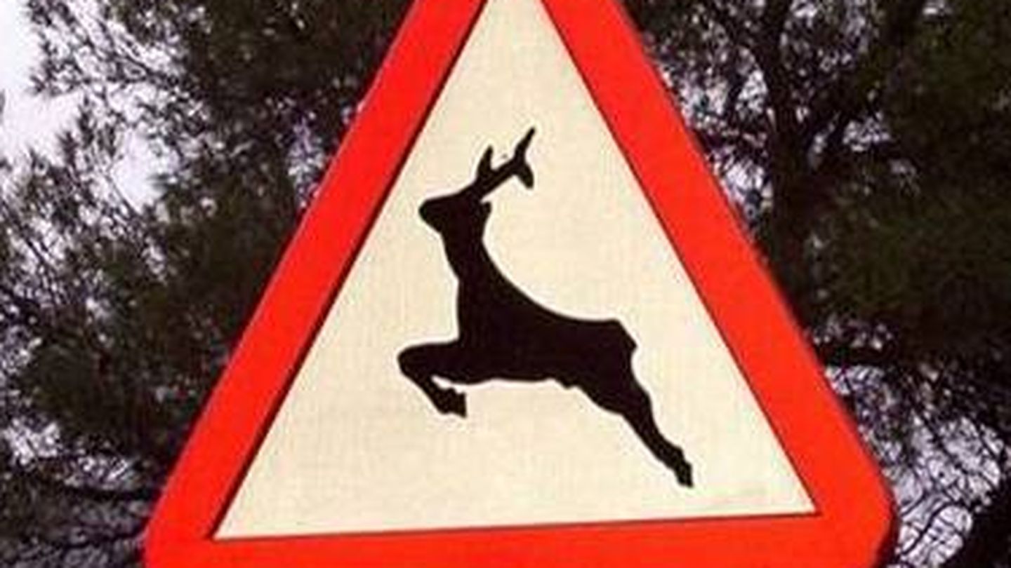 Señal fija de alerta por fauna junto a la carretera