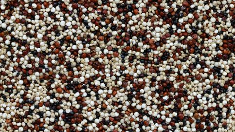 Todo lo que deberías tener en cuenta sobre la quinoa, según la ciencia 