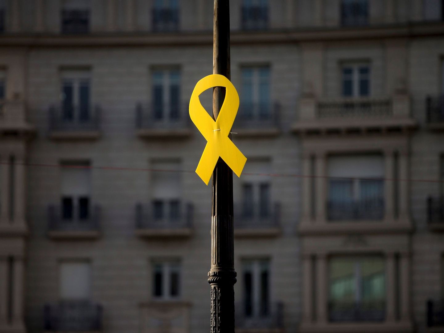 Los lazos amarillos se han convertido en el principal símbolo del independentismo. (EFE)