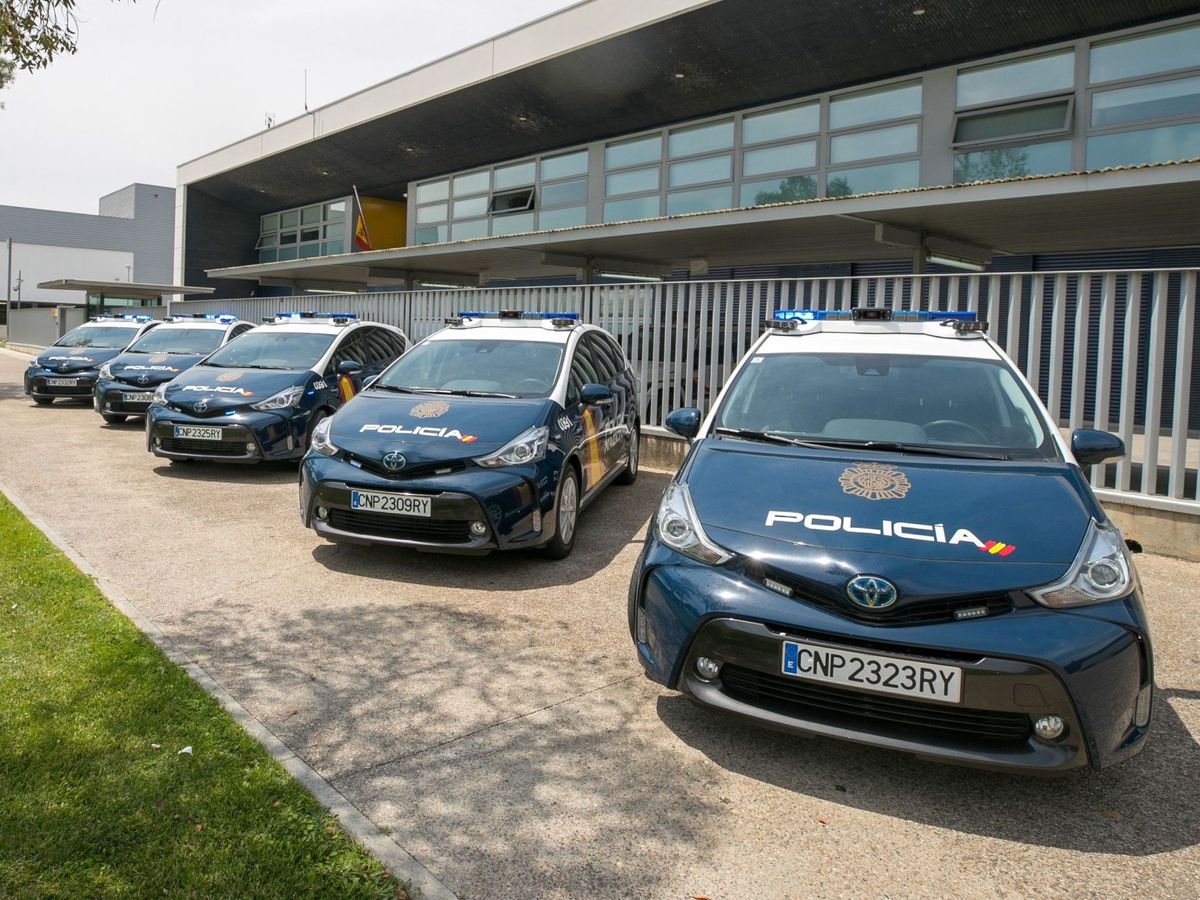 Foto: Vista de vehículos de la Policía Nacional de Zaragoza. (EFE/Javier Cebollada)