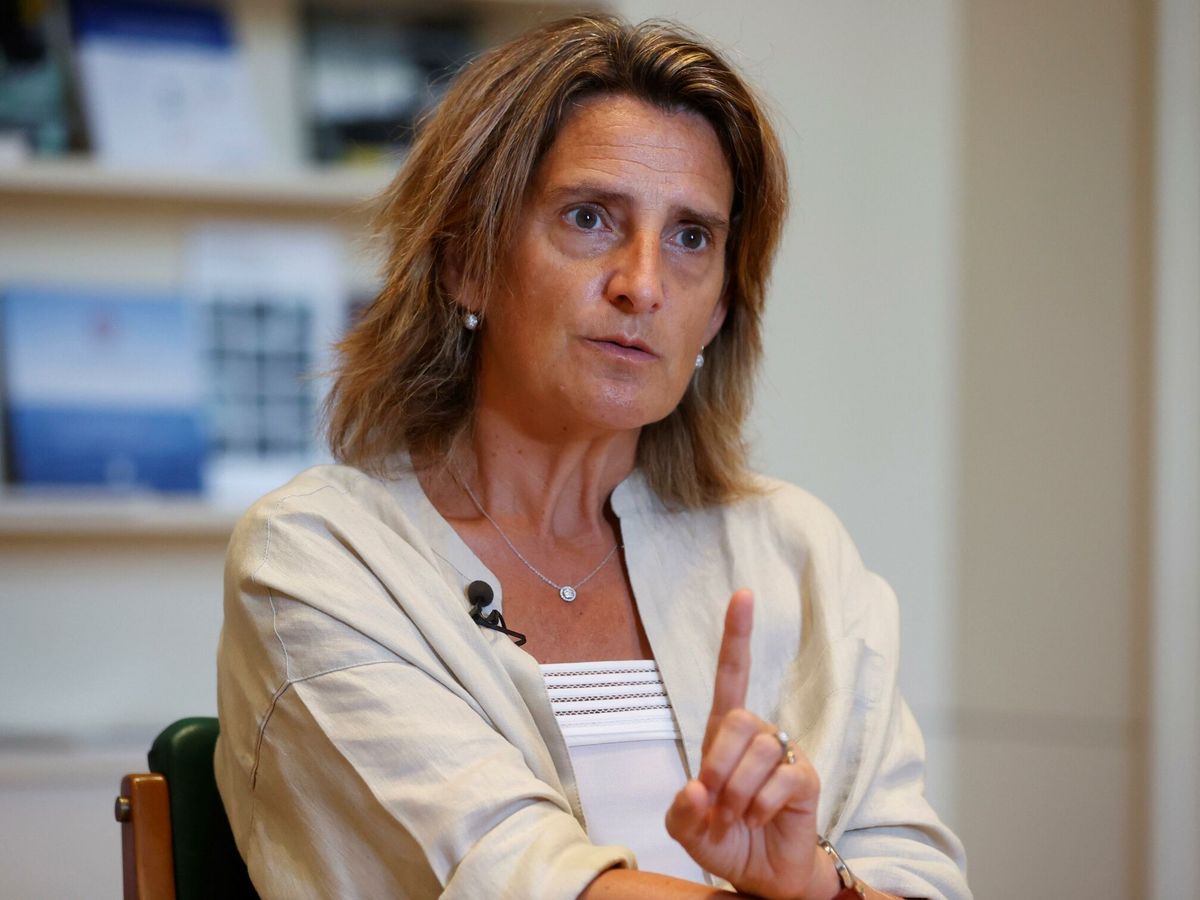 Foto: La vicepresidenta tercera del Gobierno y ministra para la Transición Ecológica y el Reto Demográfico, Teresa Ribera. (EFE) 