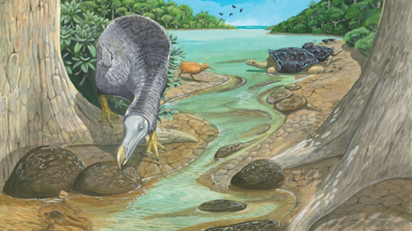 Ilustración contemporánea de los dodos en su hábitat natural (Julian Hume)