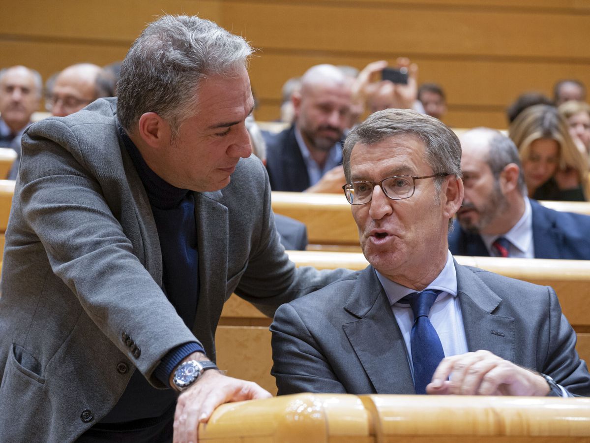 Foto: Núñez Feijóo y Elías Bendodo en el Senado. (EFE/Fernando Villar)